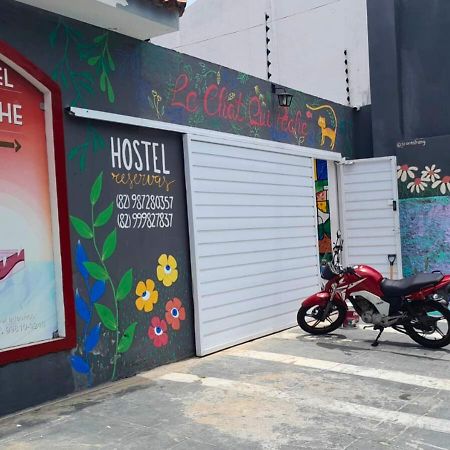 "Le Chat Qui Peche" Hostel A 150 Metros Da Praia De Pajucara Maceió Buitenkant foto